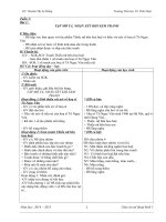 Giáo án mỹ thuật khối 5 cả năm