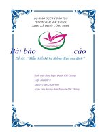 Đề tài Mẫu thiết kế hệ thống điện gia đình