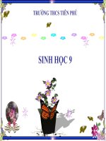 giáo án bồi dưỡng tham khảo thao giảng, thi giáo viên giỏi môn sinh học lớp 9 bài 34 thoái hoá do tự thụ phấn và giao phối gần (9)