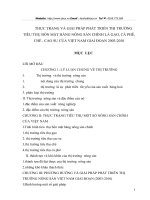 thực trạng và giải pháp phát triển thị trường  tiêu thụ bốn mặt hàng nông sản chính là gạo, cà phê, chè , cao su của việt nam giai đoạn 2003-2010