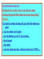 giáo án bồi dưỡng tham khảo thao giảng, thi giáo viên giỏi môn sinh học lớp 9 bài 34 thoái hoá do tự thụ phấn và giao phối gần (8)