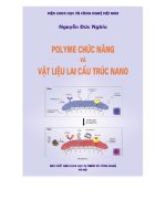 polyme chức năng và vật liệu lai cấu trúc nano