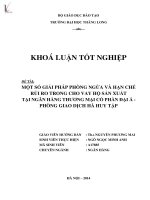 một số giải pháp phòng ngừa và hạn chế rủi ro trong cho vay hộ sản xuất tại ngân hàng thương mại cổ phần đại á - phòng giao dịch hà huy tập