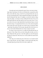 giải pháp hoàn thiện và phát triển hoạt động cho thuê tài chính tại Công ty cho thuê tài chính – Ngân hàng Công thươngViệt Nam