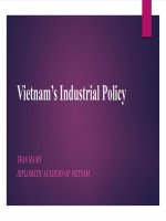 Vietnam’s industrial policy presentation ppt