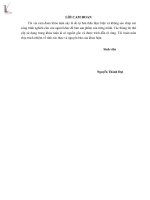 đánh giá thực trạng hoạt động môi giới chứng khoán tại công ty chứng khoán hòa bình