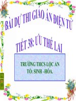 giáo án bồi dưỡng thao giảng, thi giáo viên giỏi môn sinh học lớp 9 tiết 38 ưu thế lai (10)