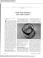 arel et al - 2005 - audit firm rotation and audit quality [mafr]