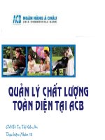 Báo cáo quản lý chất lượng : Quản lý chất lượng toàn diện tại ngân hàng ACB