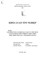 giải pháp nâng cao hiệu quả cho vay tiêu dùng tại ngân hàng nông nghiệp và phát triển nông thôn việt nam - chi nhánh láng hạ