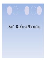 Quyền và môi trường (luật môi trường và chính sách kinh tế)