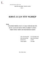 giải pháp phòng ngừa và hạn chế rủi ro tín dụng tại ngân hàng nông nghiệp và phát triển nông thôn việt nam - chi nhánh hoàn kiếm