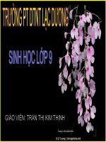 giáo án bồi dưỡng thao giảng, thi giáo viên giỏi môn sinh học lớp 9 tiết 38 ưu thế lai (3)