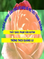 giáo án bồi dưỡng thao giảng, thi giáo viên giỏi môn sinh học lớp 9 tiết 38 ưu thế lai (14)