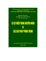 lũ lụt miền trung nguyên nhân và các giải pháp phòng tránh