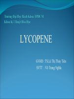 Tổng quan tài liệu về lycopene