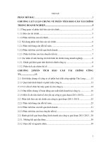 phân tích báo cáo tài công ty cổ phần hoá chất công nghiệp Tân Long