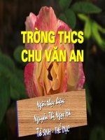 giáo án bồi dưỡng thao giảng, thi giáo viên giỏi môn sinh học lớp 9 tiết 38 ưu thế lai (12)