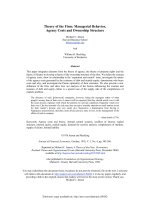 jensen and meckling  - 1976 - managerial behavior, agency costs, and ownership structure