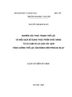 nghiên cứu thực trạng thể lực và hiệu quả sử dụng thực phẩm chức năng từ cá cơm và cá chìa vôi giúp tăng cường thể lực vận động viên pencak silat