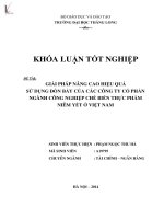 giải pháp nâng cao hiệu quả sử dụng đòn bẩy của các công ty cổ phần công nghiệp chế biến thực phẩm niêm yết ở việt nam