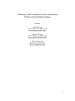 cameran et al - 2012 - mandatory audit firm rotation and audit quality - evidence from the italian setting [mafr]
