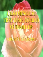 giáo án bồi dưỡng thao giảng, thi giáo viên giỏi môn sinh học lớp 9 tiết 38 ưu thế lai (13)