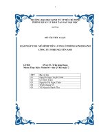 GIẢI PHÁP CHO MÔ HÌNH TIỀN LƯƠNG Ở PHÒNG KINH DOANH CÔNG TY TNHH NGUYÊN ANH