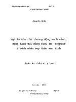 nghiên cứu tổn thương động mạch cảnh, động mạch đùi bằng siêu âm doppler ở bệnh nhân suy thận mạn tính