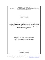 giải pháp phát triển doanh nghiệp nhỏ và vừa của thành phố tuyên quang, tỉnh tuyên quang