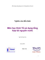 Nghiên cứu điển hình môn học kinh tế sử dụng tổng hợp tài nguyên nước