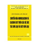 chuyển hóa hiđrocacbon và cacbon oxit trên các hệ xúc tác kim loại và oxit kim loại
