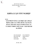 giải pháp nâng cao hiệu quả hoạt động cho vay tiêu dùng tại ngân hàng thương mại cổ phần đầu tư và phát triển việt nam - chi nhánh ba đình