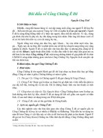 Đôi điều về chiêng Êđê