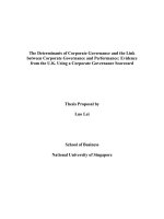lei - determinants of cg and the link between cg and performance - evidence from the uk using a corporate governance scorecard