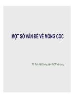 MỘT SỐ VẤN ĐỀ VỀ MÓNG CỌC  TS TRỊNH VIỆT CƯỜNG