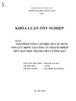 giải pháp nâng cao hiệu quả sử dụng vốn lưu động tại công ty trách nhiệm hữu hạn một thành viên cường đạt