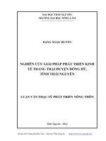 nghiên cứu giải pháp phát triển kinh tế trang trại huyện đồng hỷ, tỉnh thái nguyên