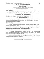 đề thi và đáp án tham khảo thi học sinh giỏi môn ngữ văn lớp 9 bồi dưỡng (2)