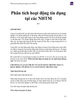 Phân tích hoạt động tín dụng tại các Ngân Hàng Thương Mại