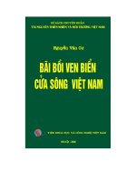 bãi bồi ven biển cửa sông bắc bộ việt nam