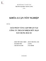 giải pháp tăng lợi nhuận tại công ty trách nhiệm hữu hạn xây dựng hải âu
