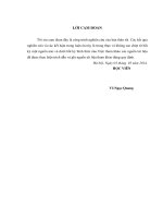 Ứng dụng công nghệ GIS trong quản lý cơ sở dữ liệu, quy hoạch phân loại hệ sinh thái và đa dạng sinh hoạt cây trồng trên địa bàn thành phố hà nội