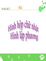 bài giảng toán 5 chương 3 bài 10 hình hộp chữ nhật - hình lập phương