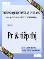 Xây dựng chiến lược thương hiệu và pr tại doanh nghiệp bitis