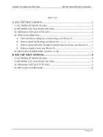 TIỂU LUẬN MÔN HỌC TÍNH TOÁN CÁC BÀI TOÁN ĐỊA KỸ THUẬT BẰNG CHƯƠNG TRÌNH PLAXIS