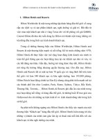 Sứ mệnh kinh doanh quốc tế của Hilton Hotel & Resorts và tại Việt Nam - tiểu luận môn Marketing quốc tế