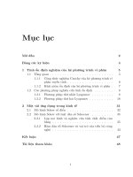 tính ổn định của hệ động lực và ứng dụng trong kinh tế