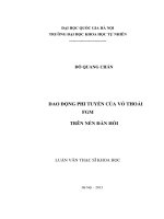 dao động phi tuyến của vỏ thoải fgm trên nền đàn hồi