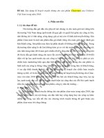 Xây dựng kế hoạch truyền thông cho sản phẩm Clearmen của Unilever Việt Nam trong năm 2010